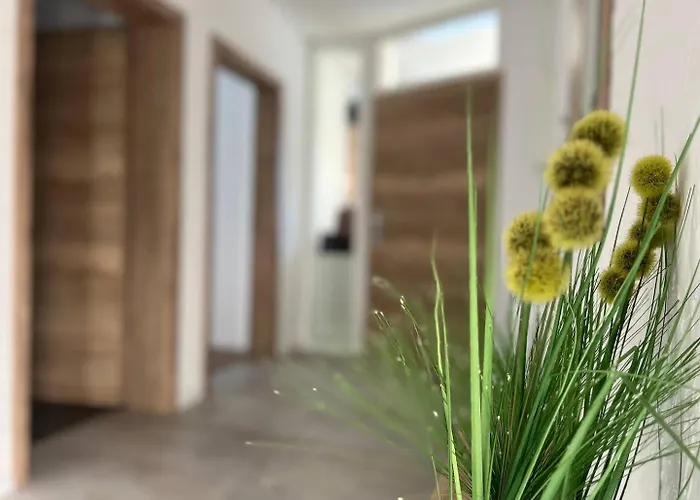 Apartman Wanderlust *